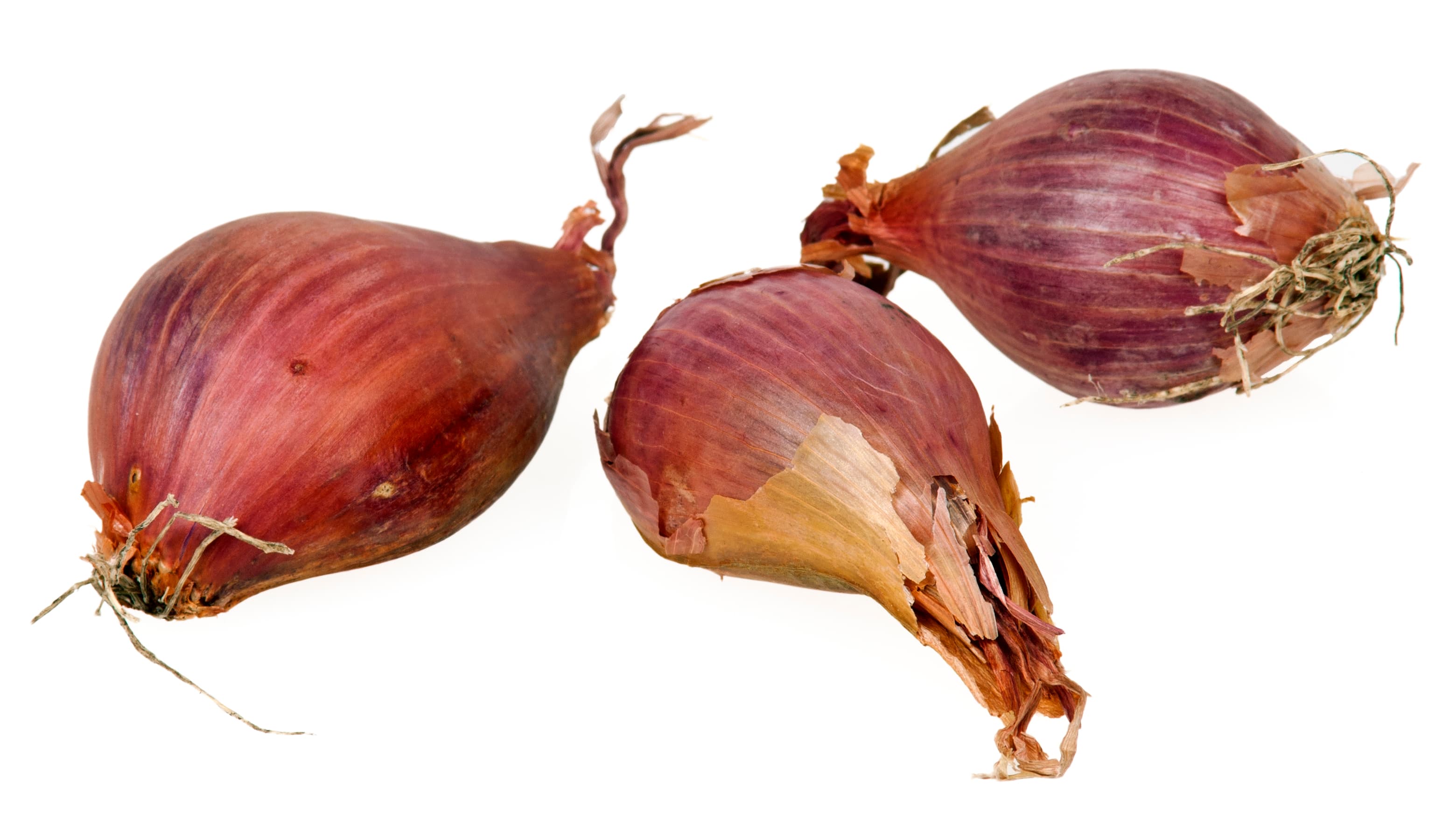 garlic bulb (raw)