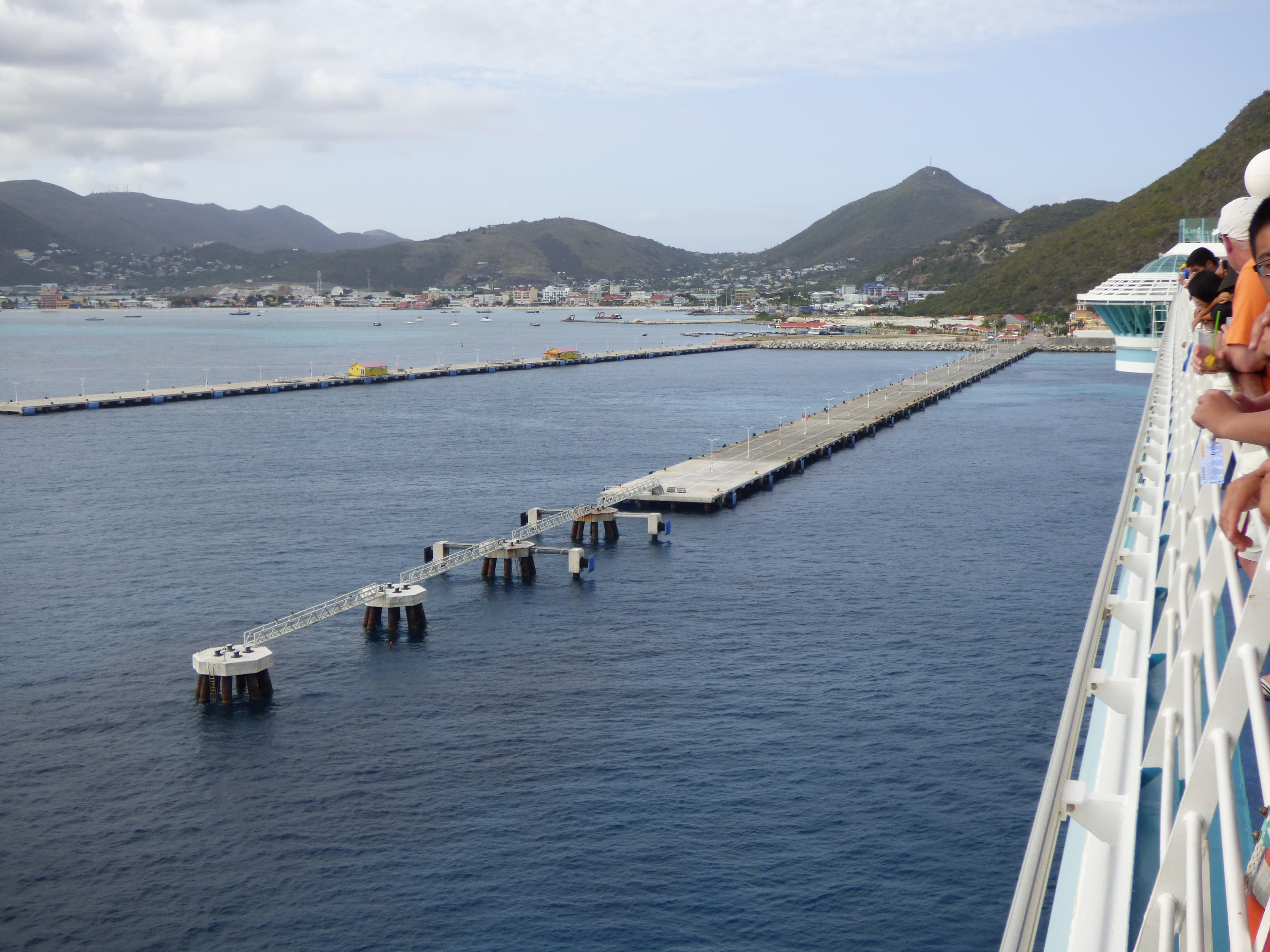 Dock, cooked, boiled, drained, with salt