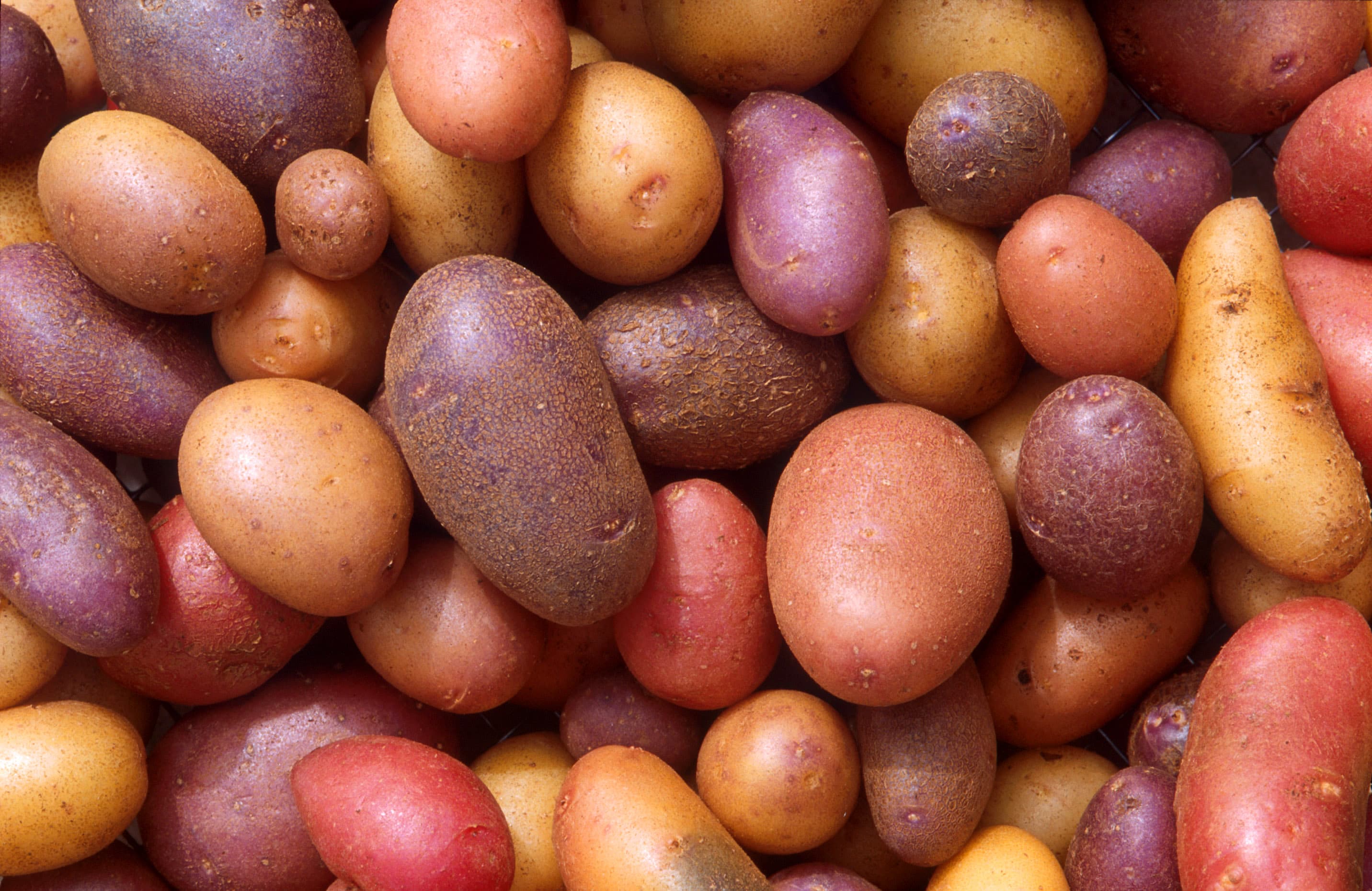 potato (raw)