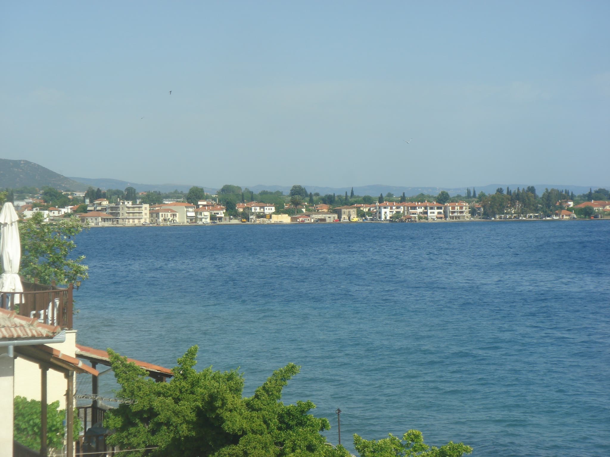 Agria