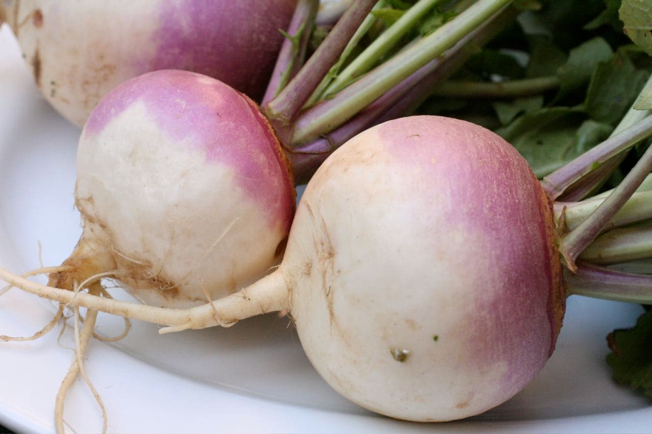 Turnip, raw