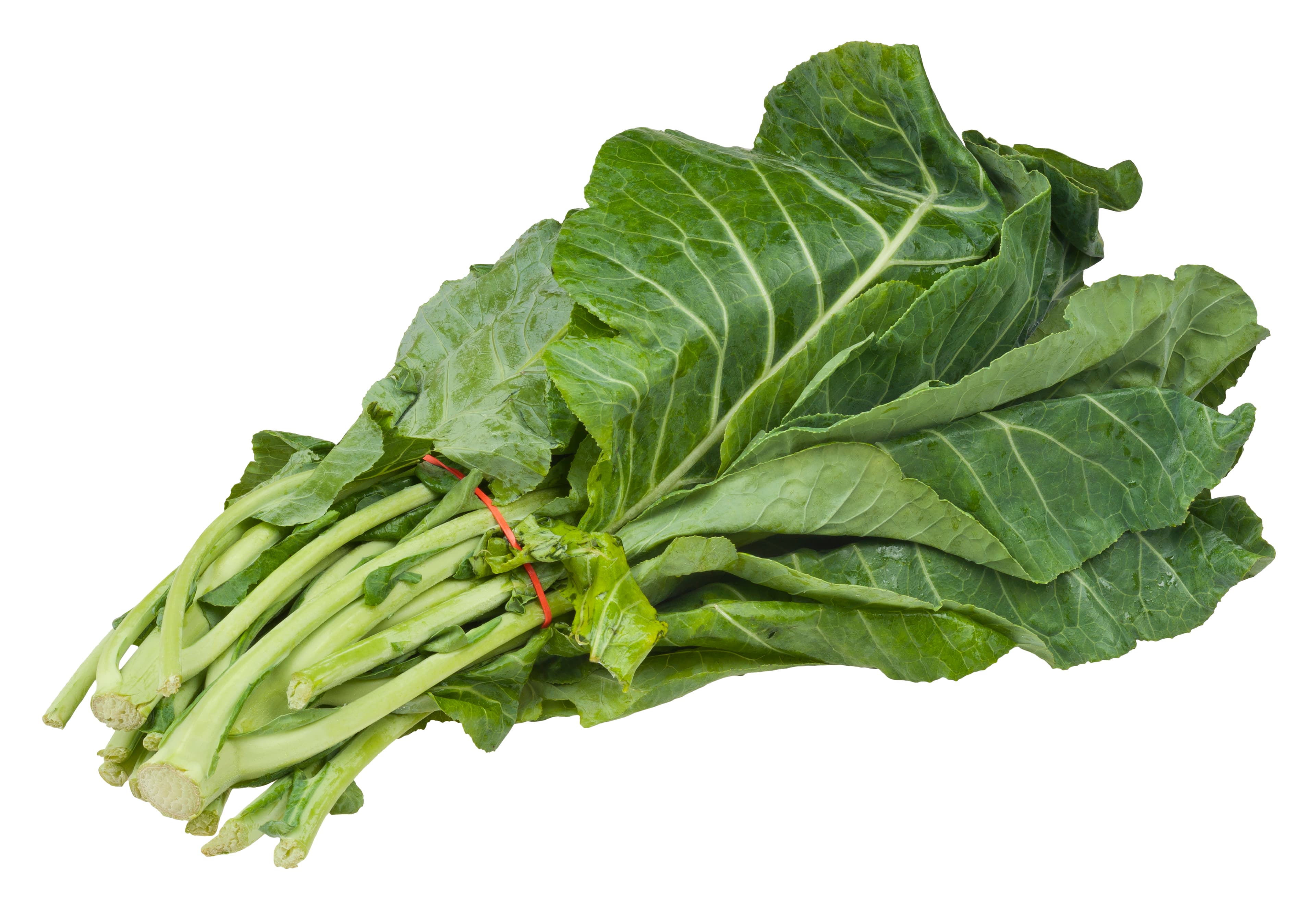 Collards, fresh, cooked with oil
