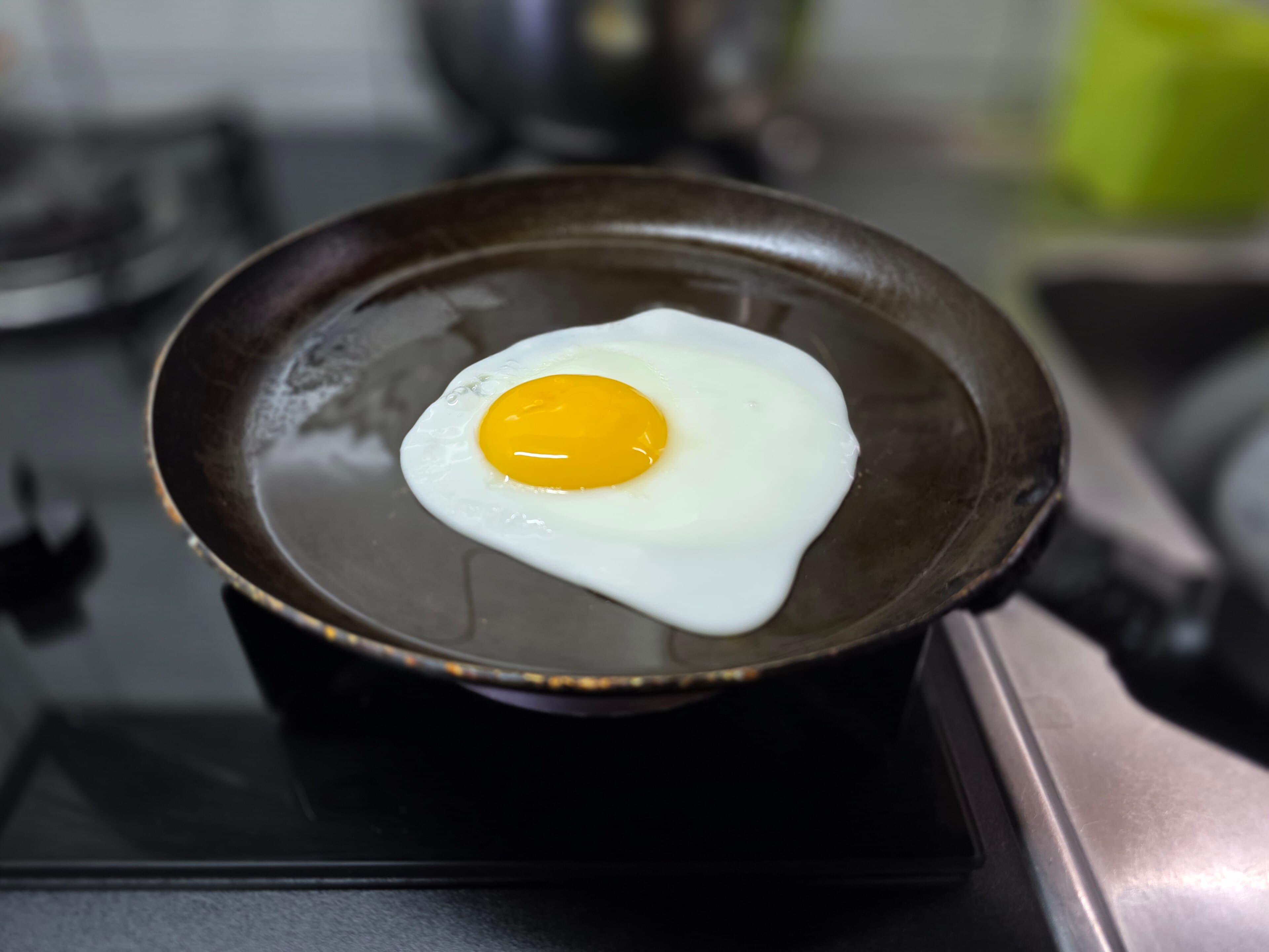 chicken egg