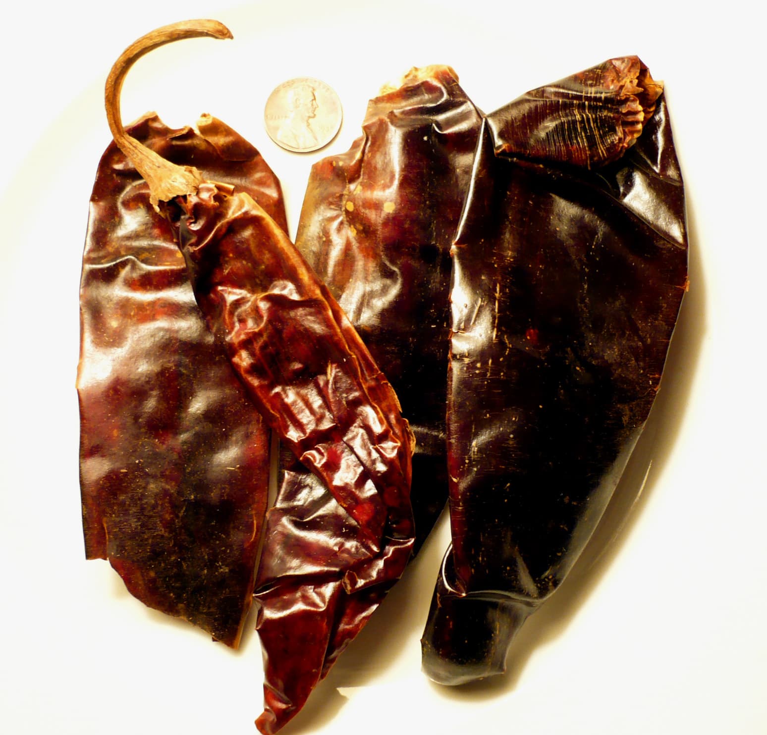 Guajillo chili