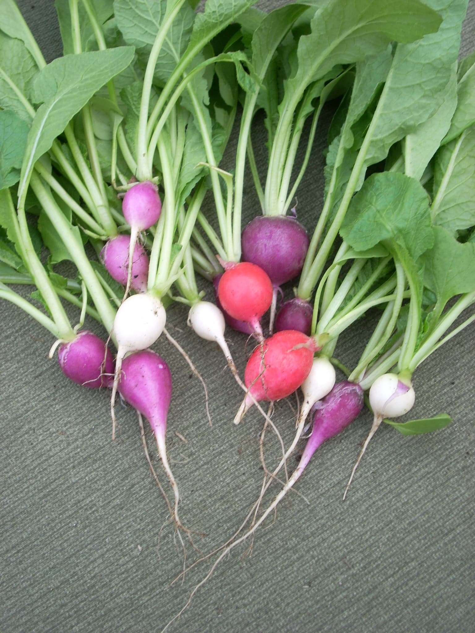 Radishes, hawaiian style, pickled