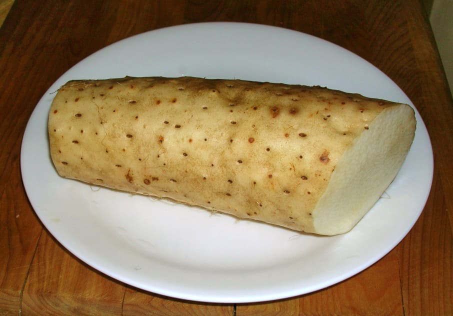 chinese yam