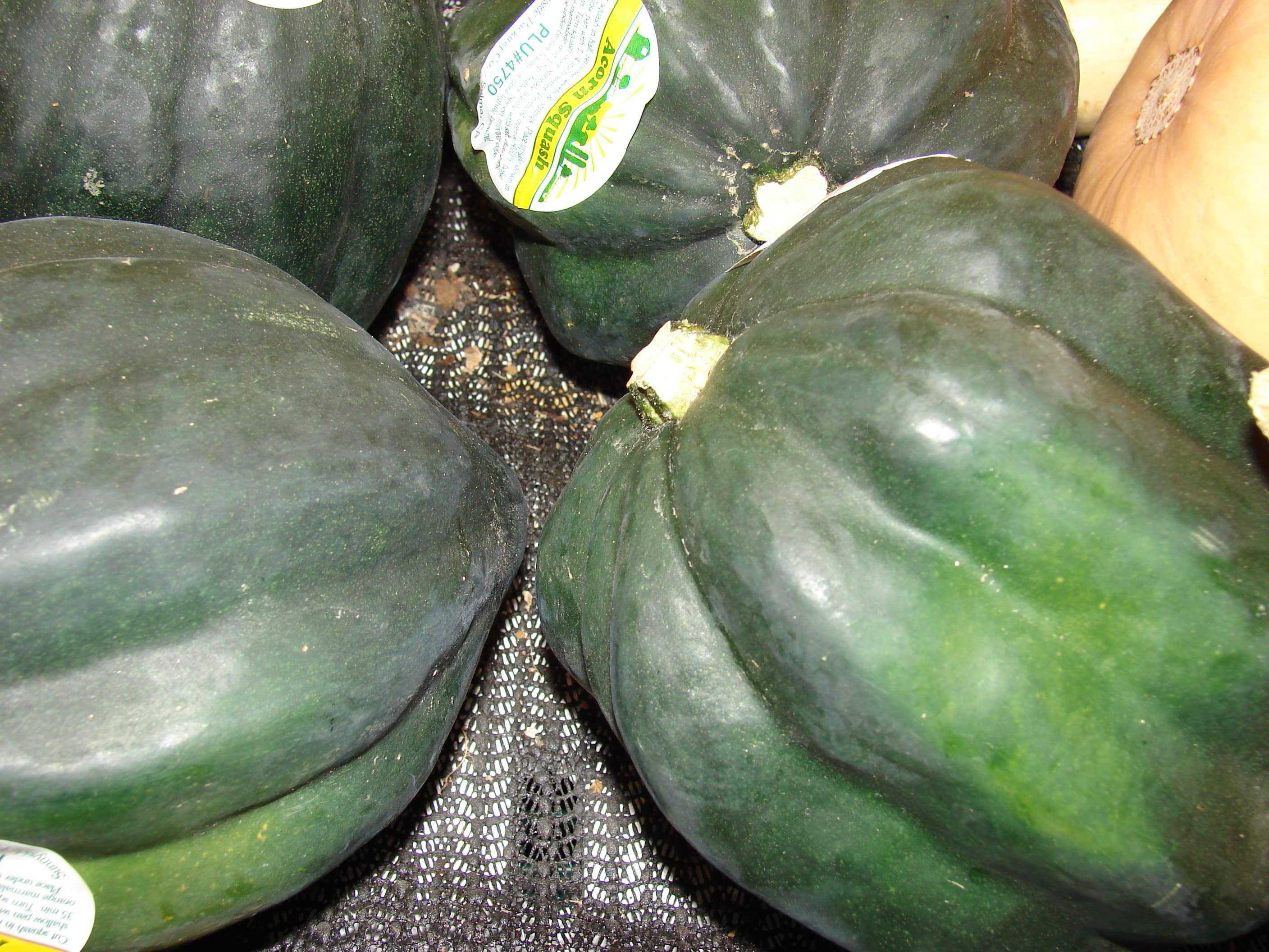 acorn squash (raw)