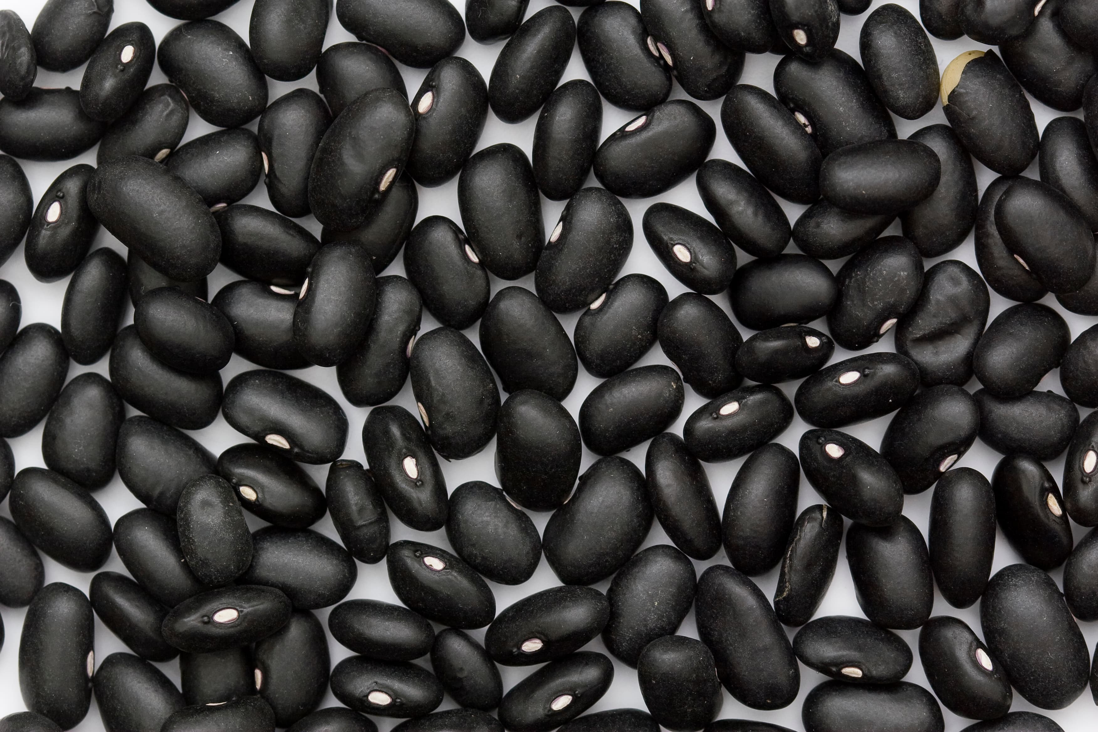 black turtle bean